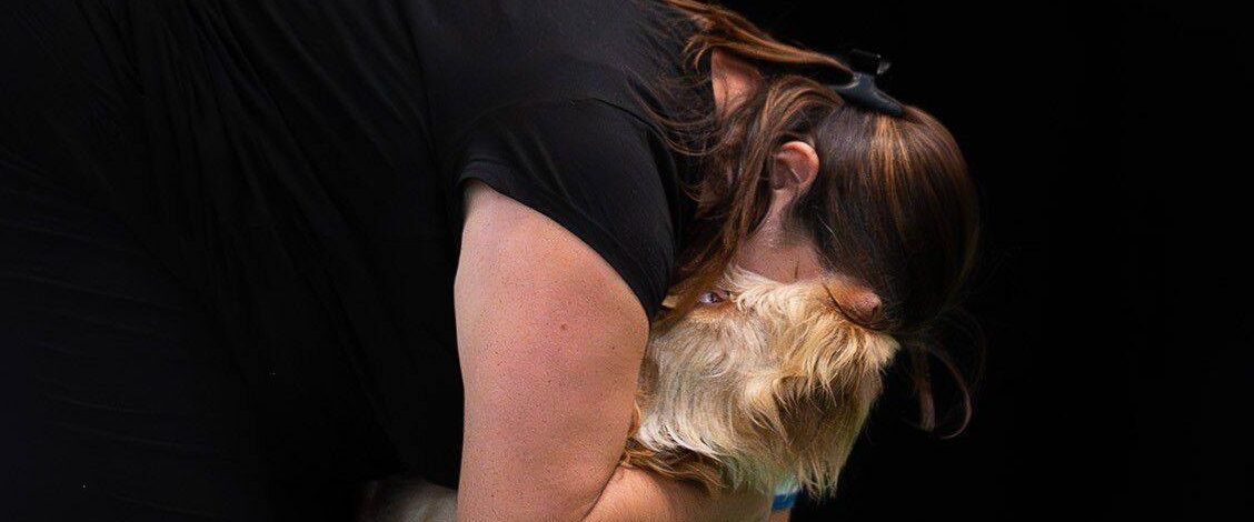 Spinone Italiano - na Balšinkách